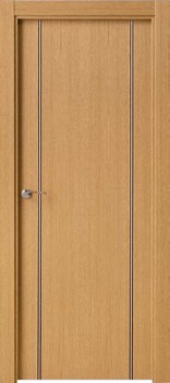 Puerta Moderna 2