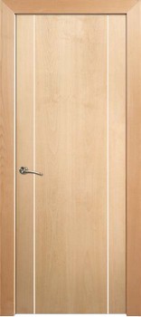 Puerta Moderna 4