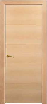 Puerta Moderna 4