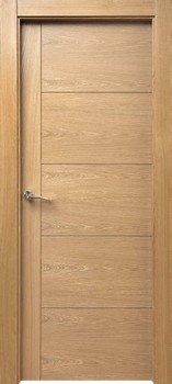 Puerta Moderna 1