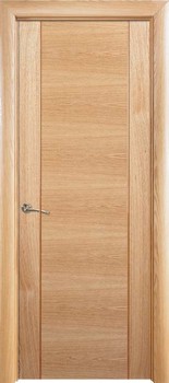 Puerta Moderna 2