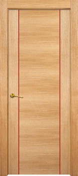 Puerta Moderna 2
