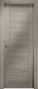 Puerta Moderna 1