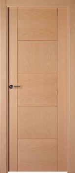 Puerta Moderna 4